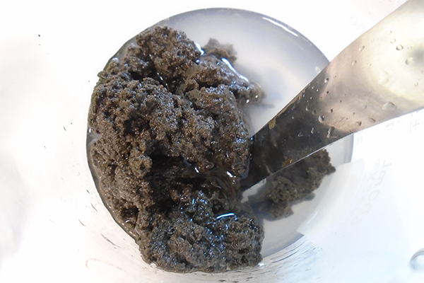 Boues De Station D'épuration